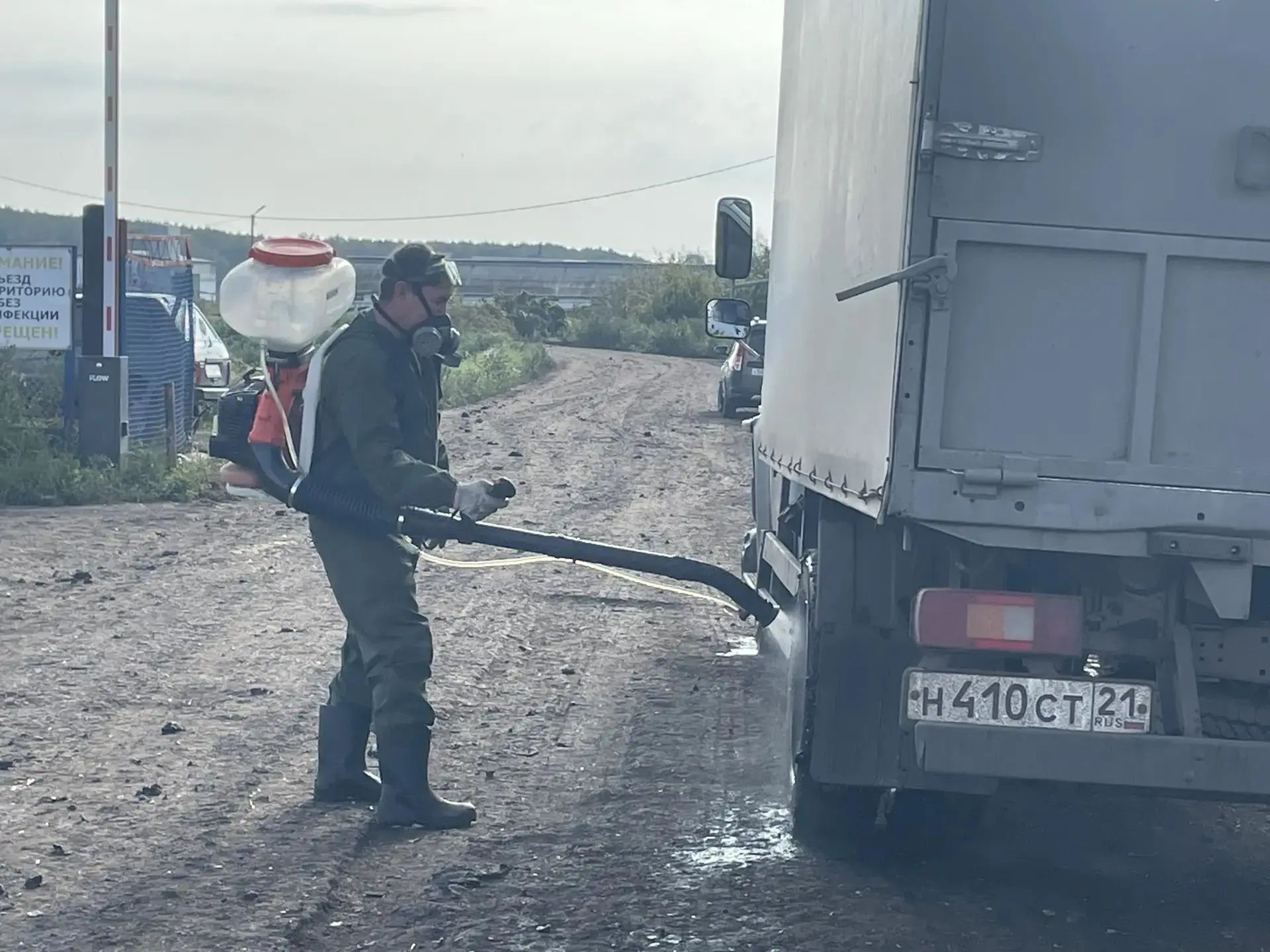 Дезинфекция автотранспорта и погрузка животных на убойный пункт