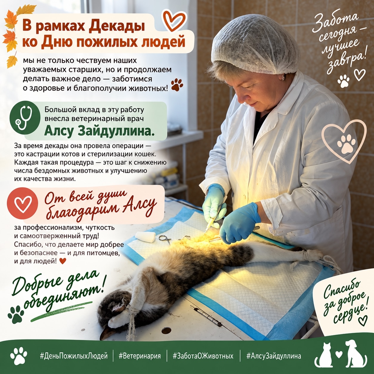 Декада ко Дню пожилых людей- подсчитываем результаты.